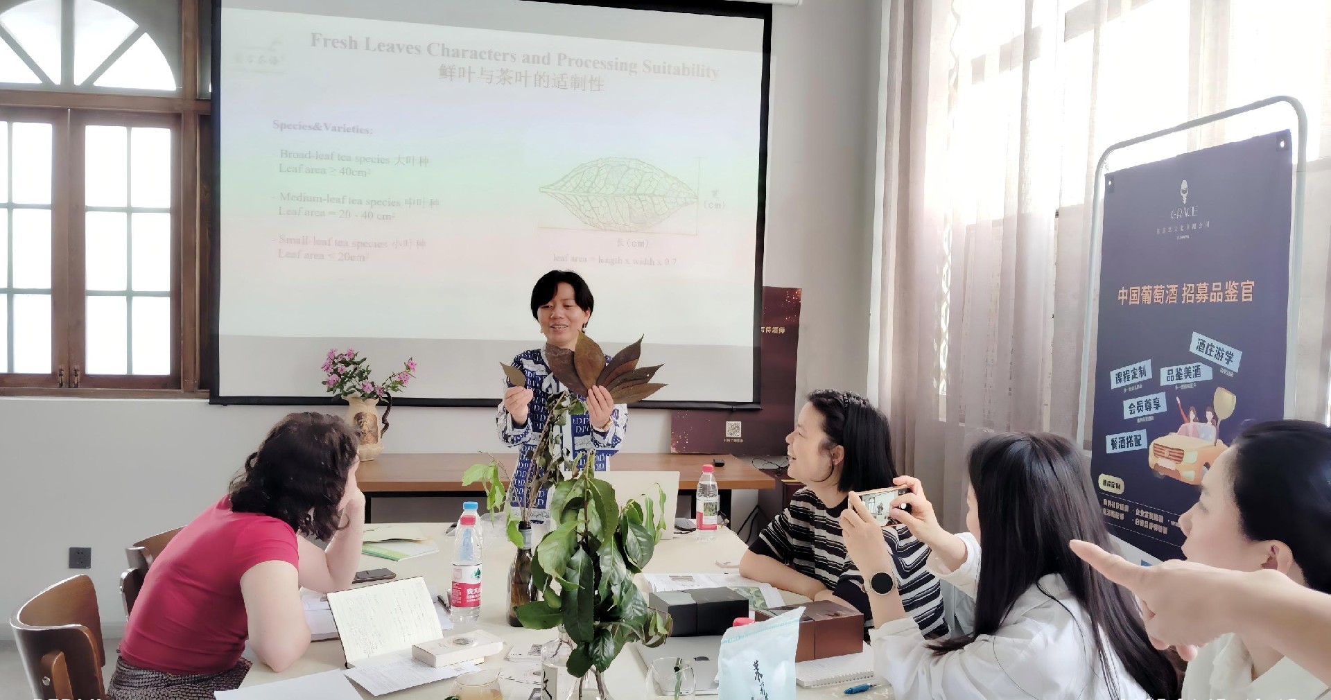 Mabol teaching Chinese tea leaf characteristics to a group of learners