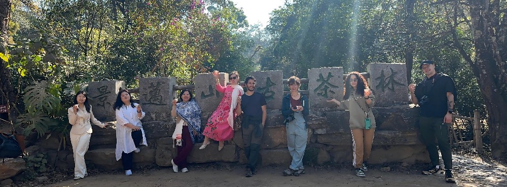 Tea travellers at Jingmai ancient tea forest