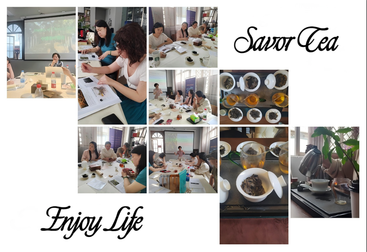 A collage of actual classroom, tasting, and brewing photographs from IACT