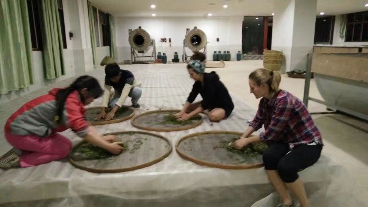 Learners working with tea leaves in bamboo trays